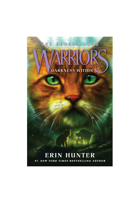 Warriors: The Broken Code 4:Darkness Within