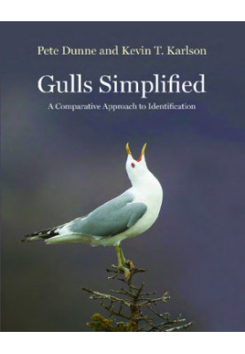 Gulls Simplified: A Comparative Approach to Identification