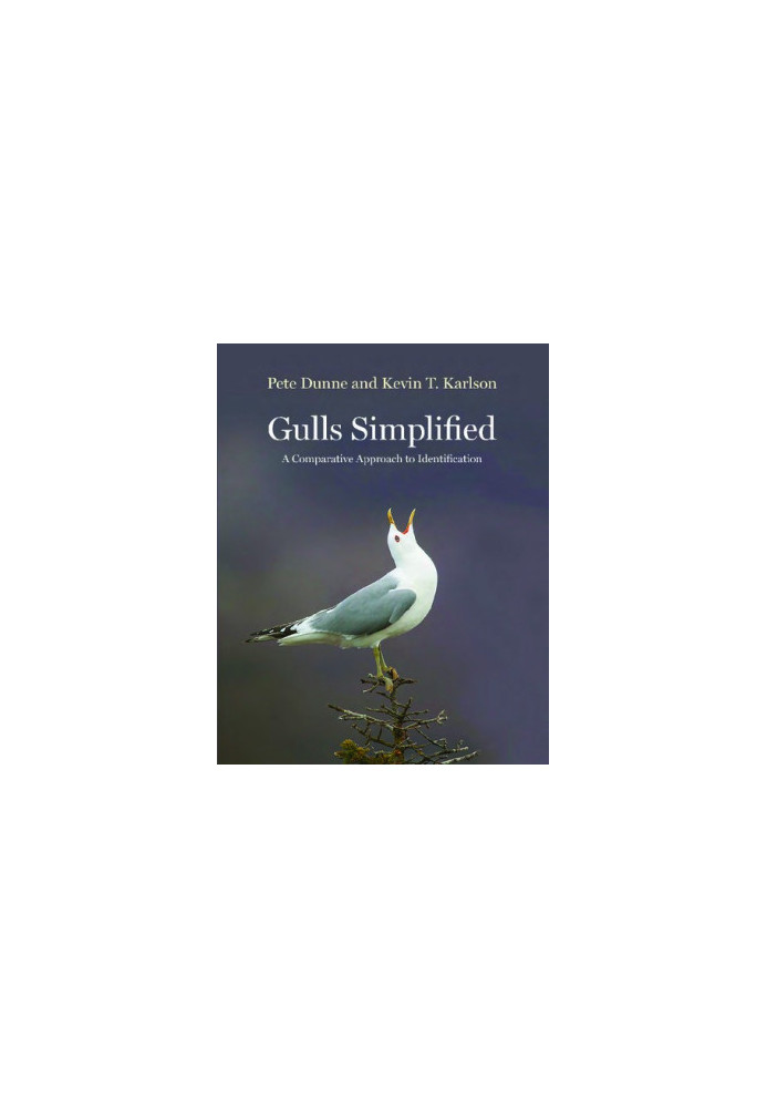 Gulls Simplified: A Comparative Approach to Identification
