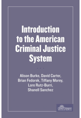 SOU-CCJ230 Introduction to the American Criminal Justice System