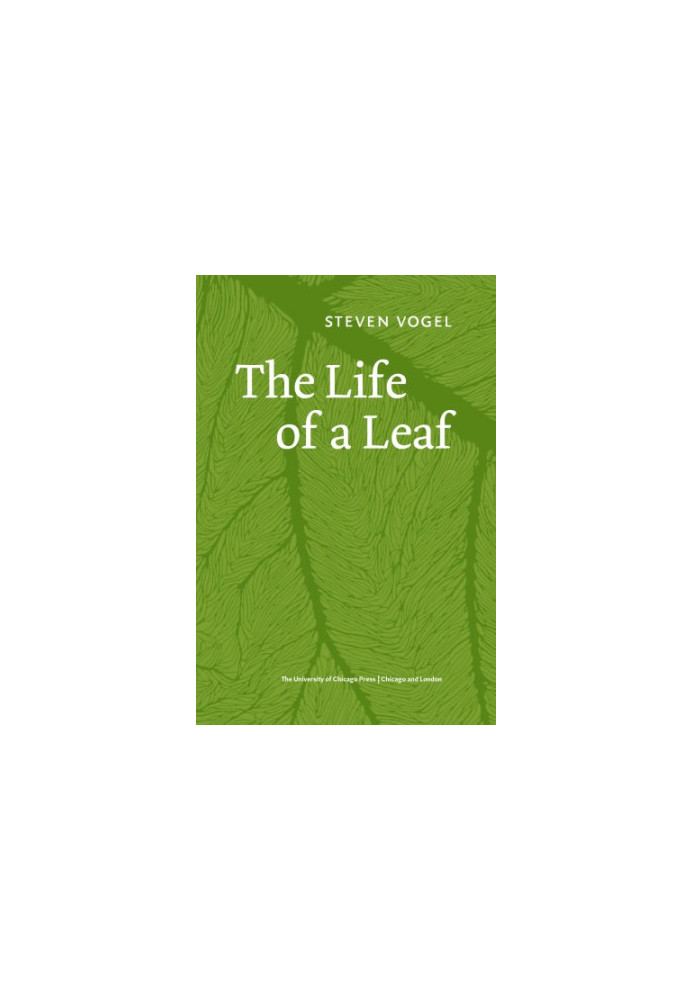 The life of a leaf