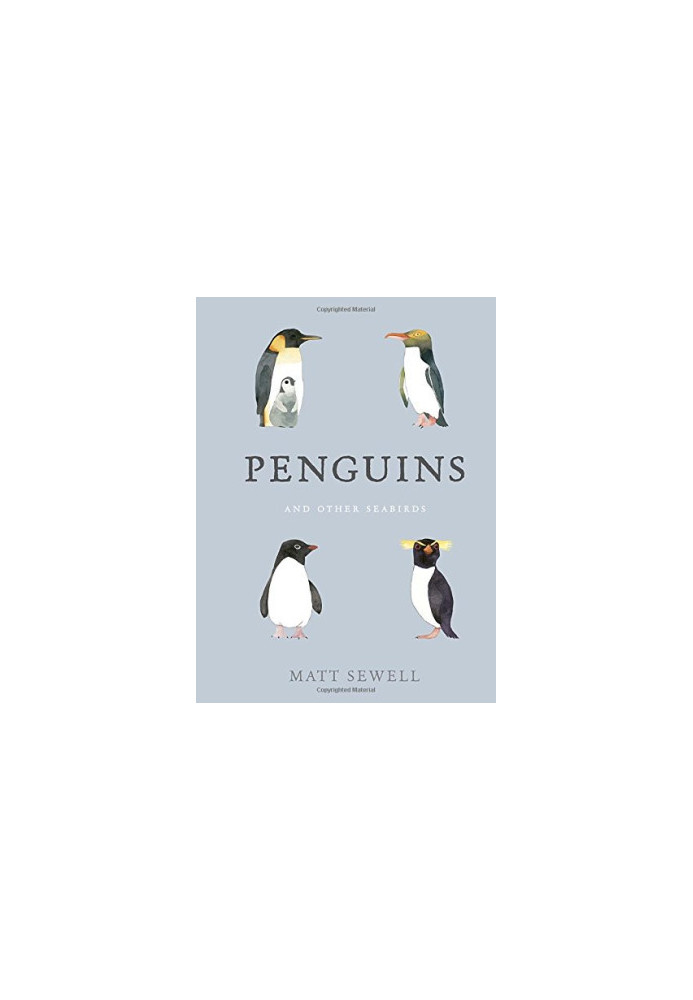 Penguins : And Other Seabirds
