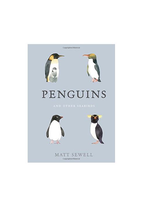 Penguins : And Other Seabirds