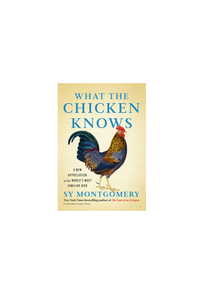 What the Chicken Knows: A New Appreciation of the World's Most Familiar Bird