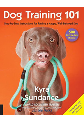 Dog Training 101: Step-By-Step Instructions For Raising A Happy Well-Behaved Dog