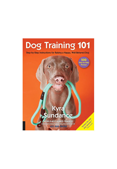 Dog Training 101: Step-By-Step Instructions For Raising A Happy Well-Behaved Dog