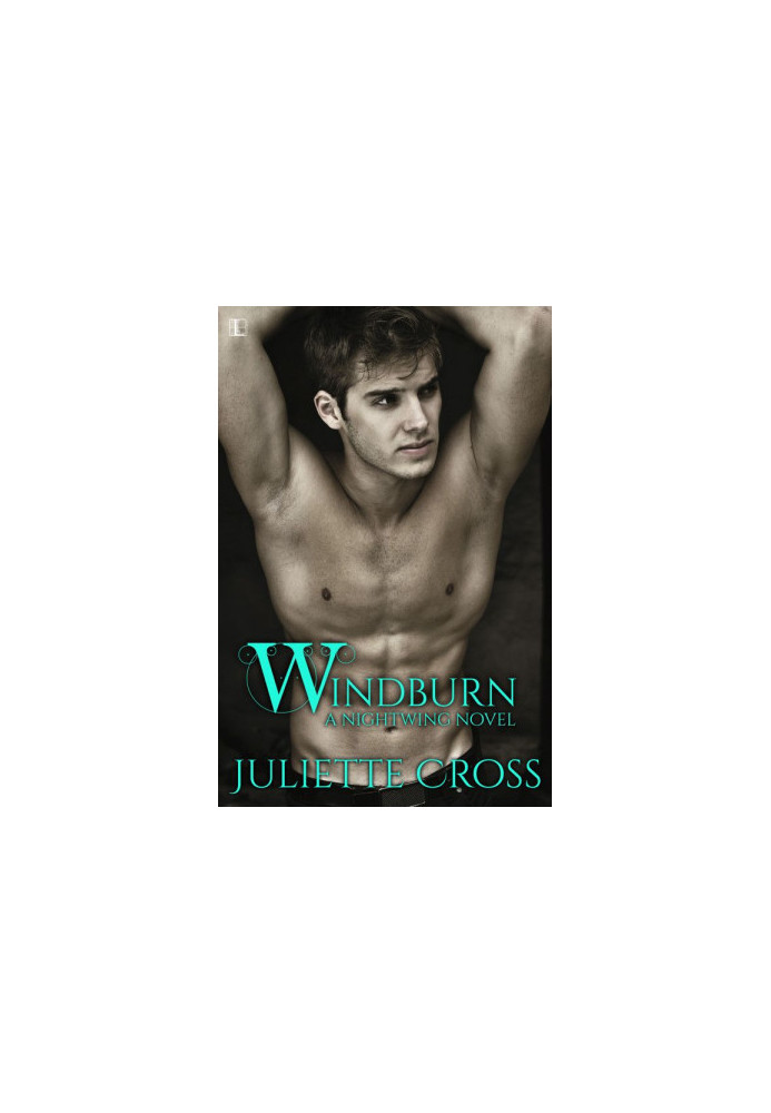[Nightwing 02] • Windburn