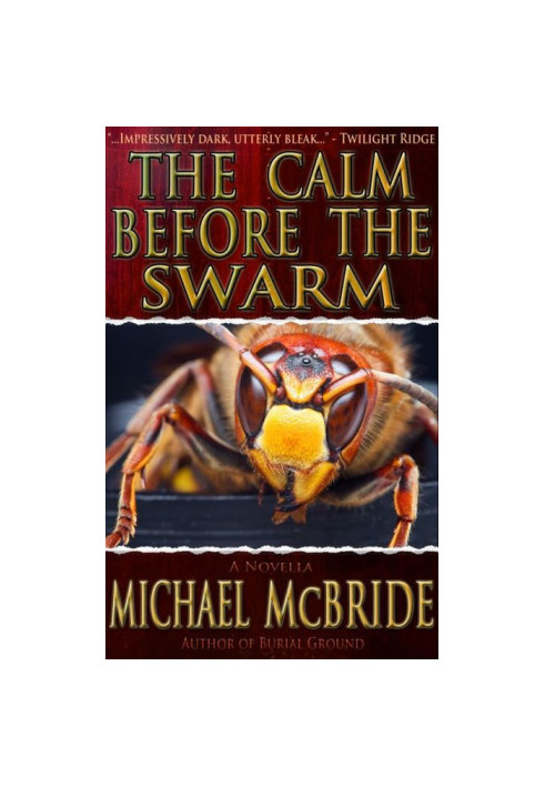 The Calm Before The Swarm