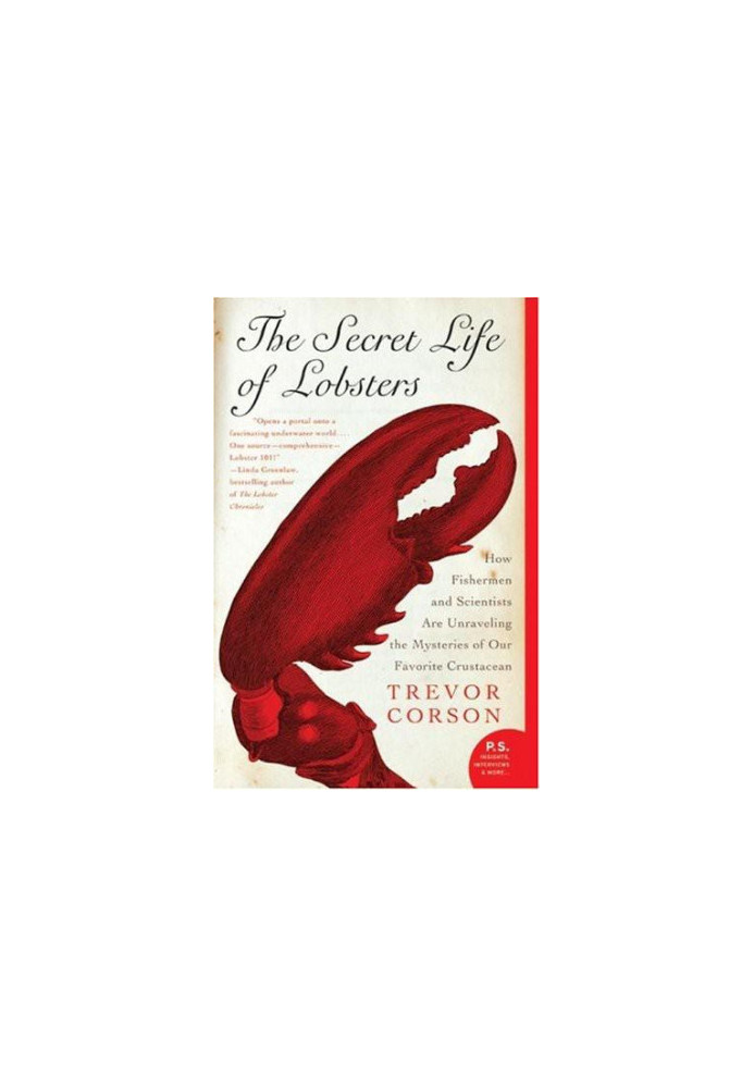 The Secret Life of Lobsters: How Fishermen and Scientists Are Unraveling the Mysteries of Our Favorite Crustacean