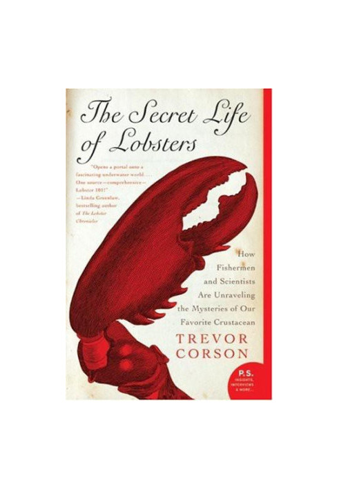 The Secret Life of Lobsters: How Fishermen and Scientists Are Unraveling the Mysteries of Our Favorite Crustacean