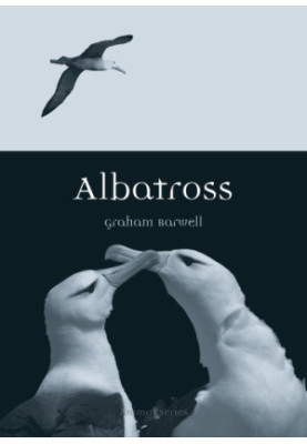 Albatross