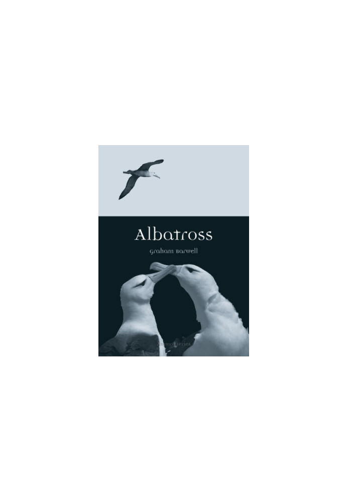 Albatross