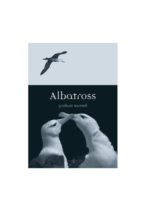 Albatross
