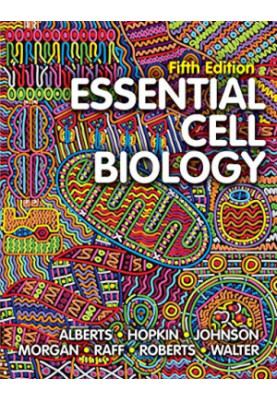 Essential Cell Biology