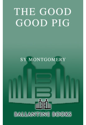 The Good Good Pig