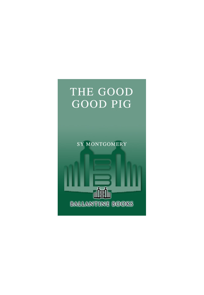 The Good Good Pig