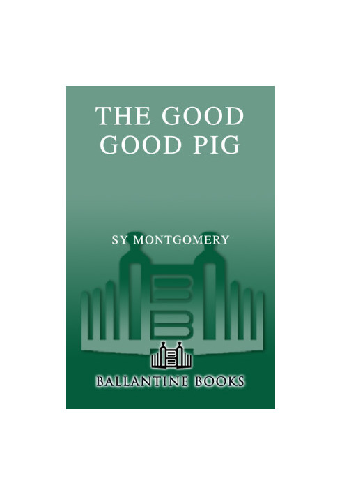 The Good Good Pig