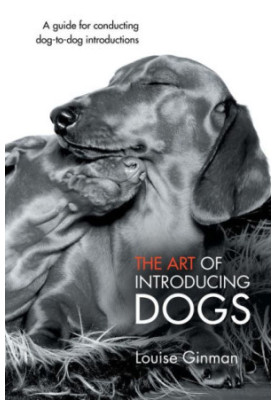 The Art of Introducing Dogs