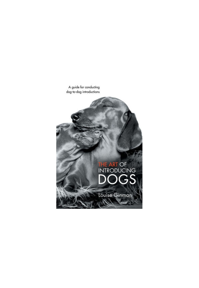 The Art of Introducing Dogs
