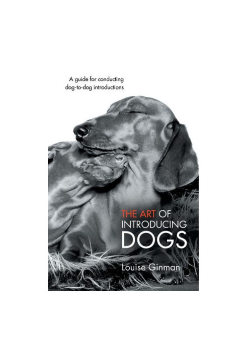 The Art of Introducing Dogs