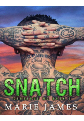 Snatch: Cerberus MC Book 5