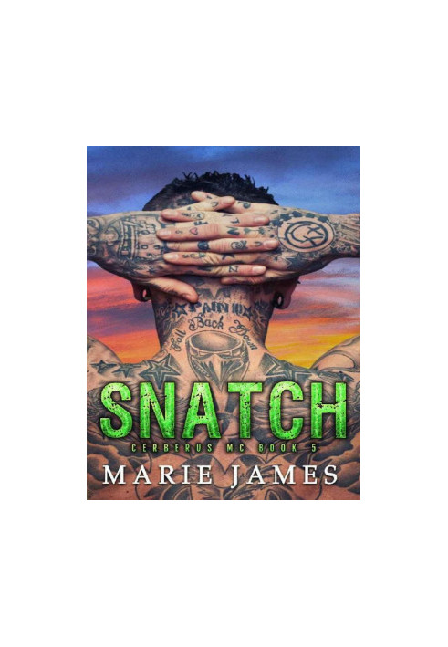 Snatch: Cerberus MC Book 5