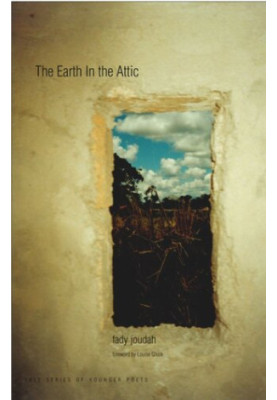 The Earth in the Attic