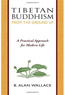 Tibetan Buddhism : from the ground up  a practical approach for modern life