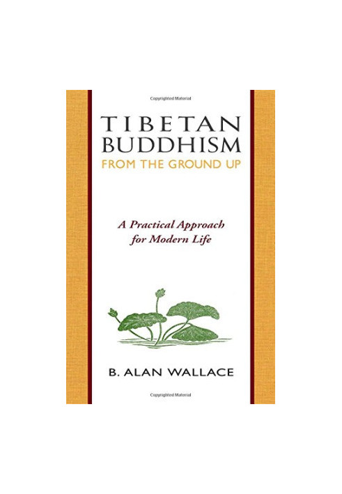 Tibetan Buddhism : from the ground up  a practical approach for modern life