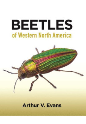 Beetles of Western North America