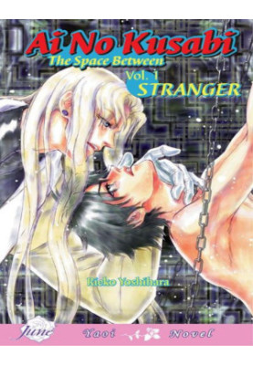 Ai No Kusabi The Space Between Volume 1: Stranger (Ai No Kusabi 1)