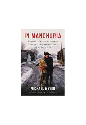 In Manchuria : a village called Wasteland and the transformation of rural China