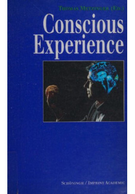 Conscious Experience