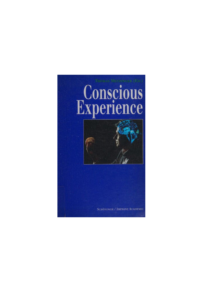 Conscious Experience