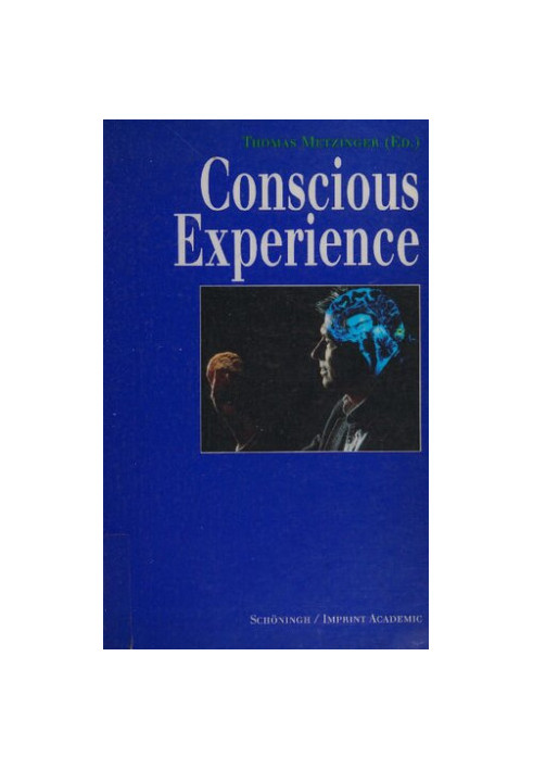 Conscious Experience