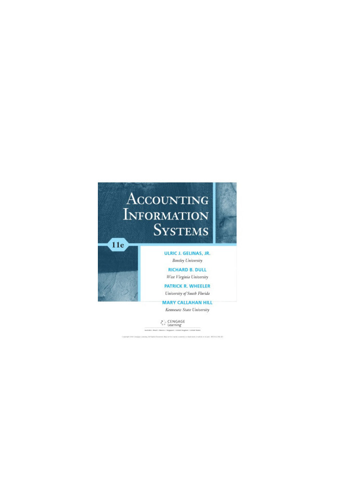 Accounting Information Systems