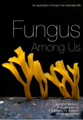 Fungus among us: An exploration of fungi in the Anamalai hills.