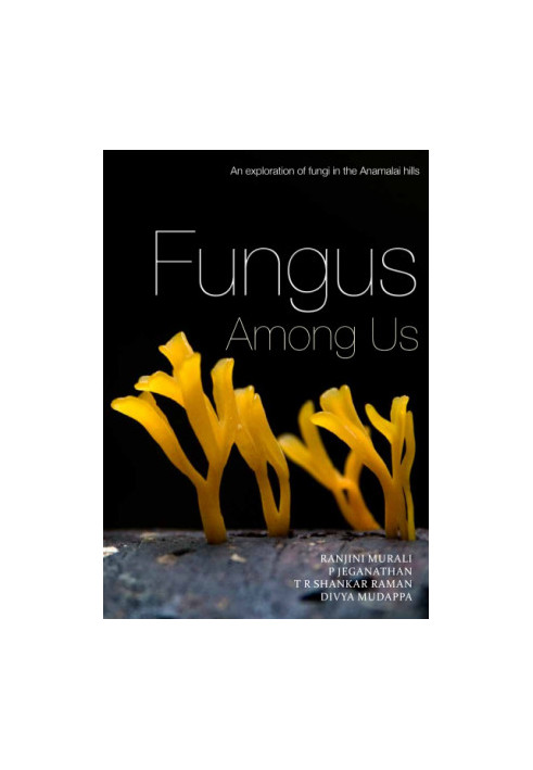 Fungus among us: An exploration of fungi in the Anamalai hills.