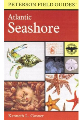 A Field Guide to the Atlantic Seashore