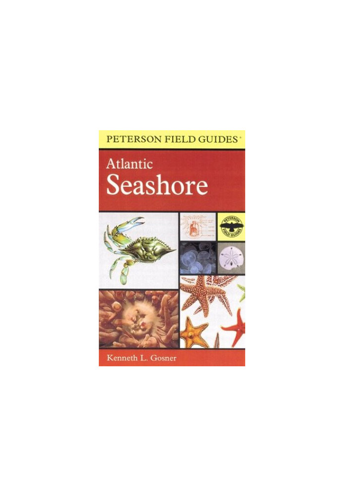 A Field Guide to the Atlantic Seashore
