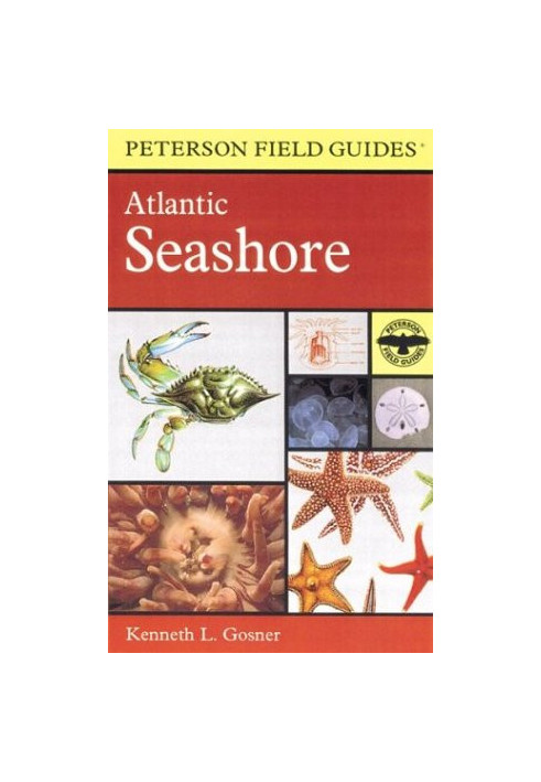 A Field Guide to the Atlantic Seashore