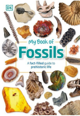 My Book of Fossils: A fact-filled guide to prehistoric life
