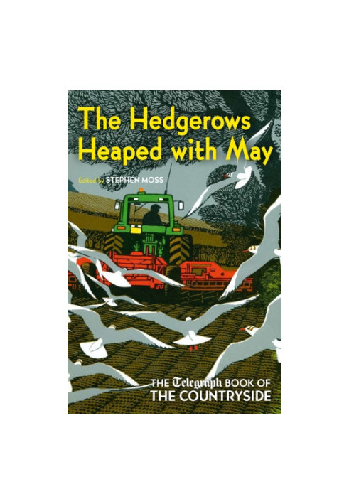 The Hedgerows Heaped with May