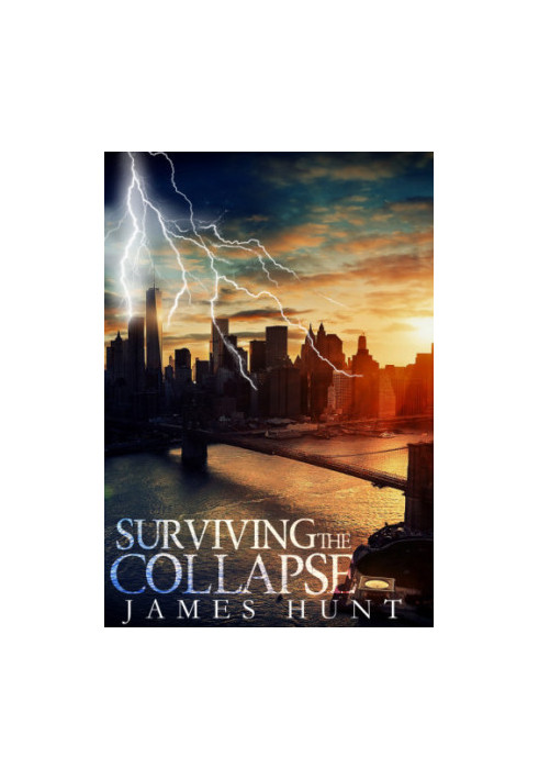 Surviving The Collapse: Book 1