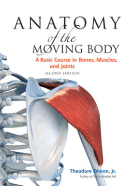 Anatomy of the Moving Body: A Basic Course in Bones, Muscles, and Joints