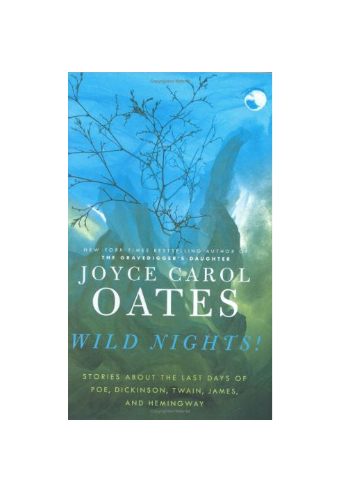 Wild Nights!: Stories About the Last Days of Poe, Dickinson, Twain, James, and Hemingway