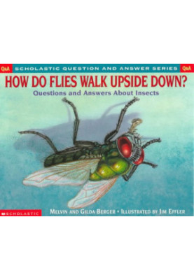 Scholastic Q & A: How Do Flies Walk Upside Down? (Scholastic Question & Answer)