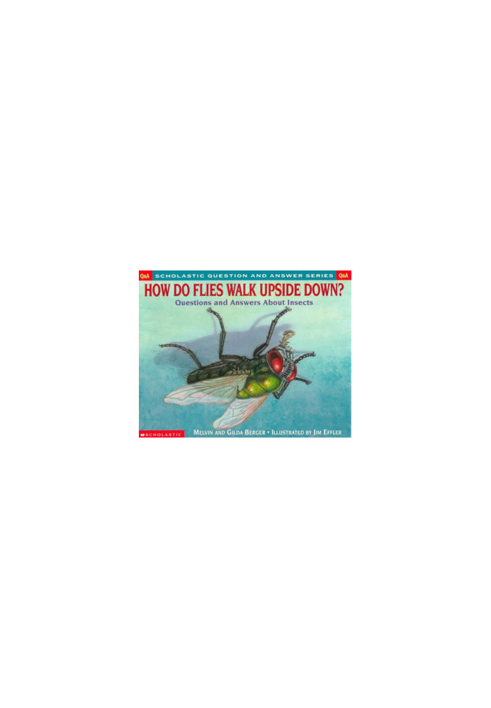 Scholastic Q & A: How Do Flies Walk Upside Down? (Scholastic Question & Answer)