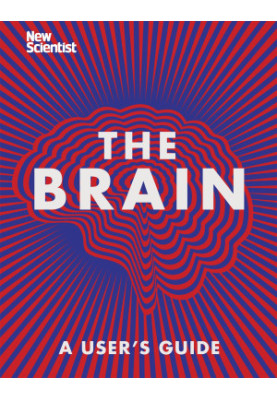 The Brain