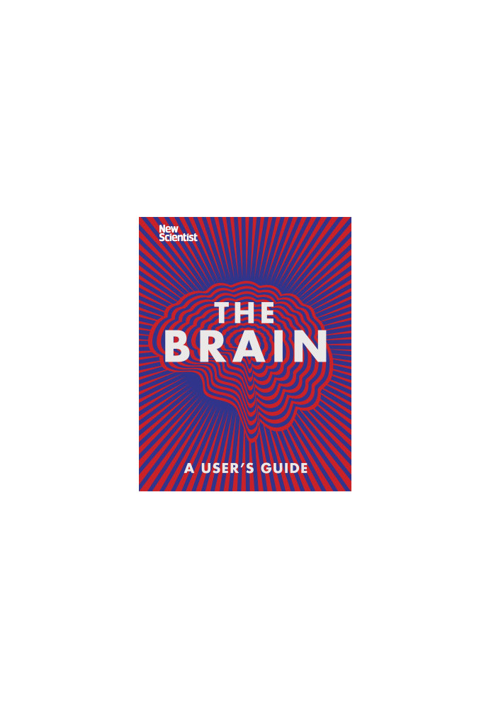 The Brain
